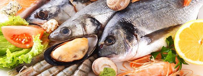 pesce-fresco-home-pescheria-de-salvo-srl-vendita-distribuzione-pesce-fresco-surgelato-prodotti-congelati-matera-basilicata-puglia